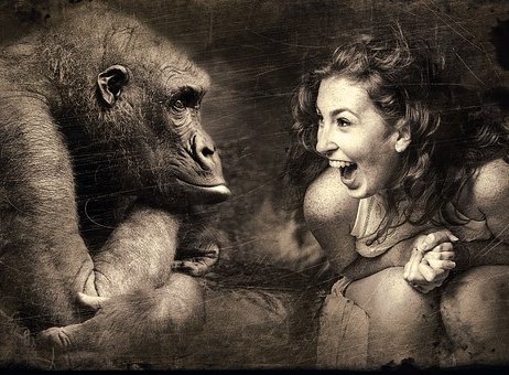 ドキュメンタル シーズン1 4の見どころと面白いシーンをレビュー 神回まとめ ボケペディア